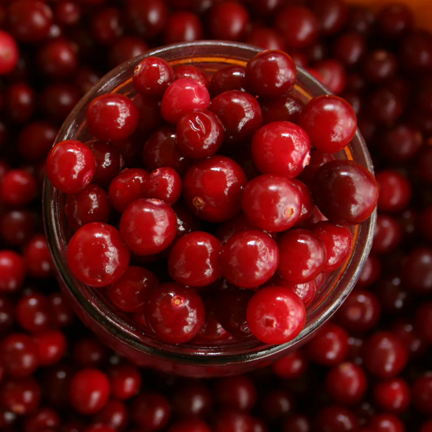 Cranberry Cranberry - Image 1
